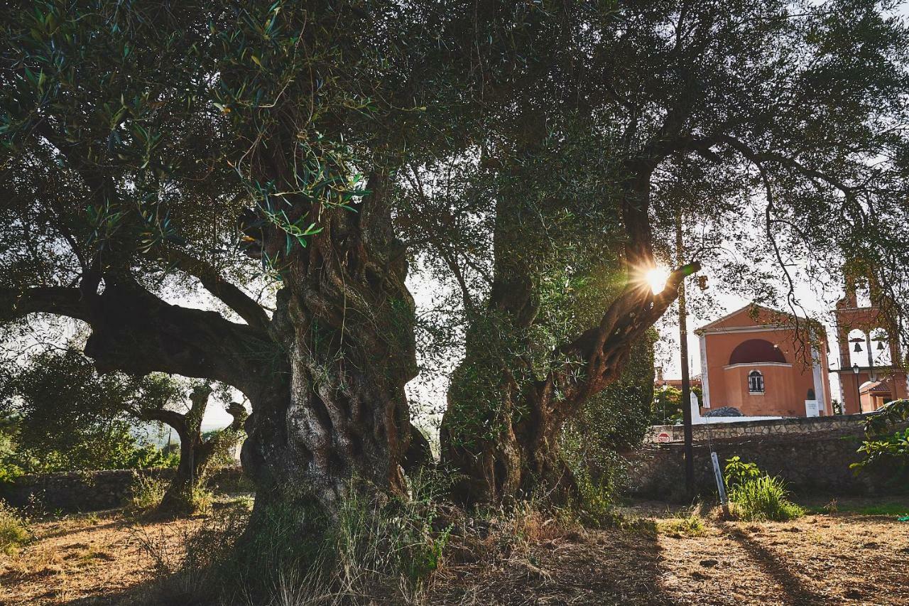XanthátaiThe Guund Houseアパートメント エクステリア 写真